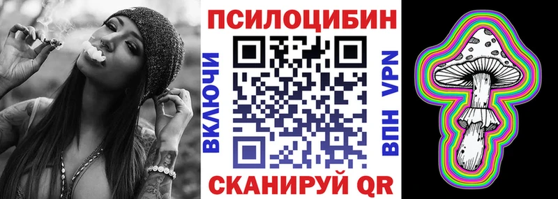 купить   Байкальск  Псилоцибиновые грибы мицелий 